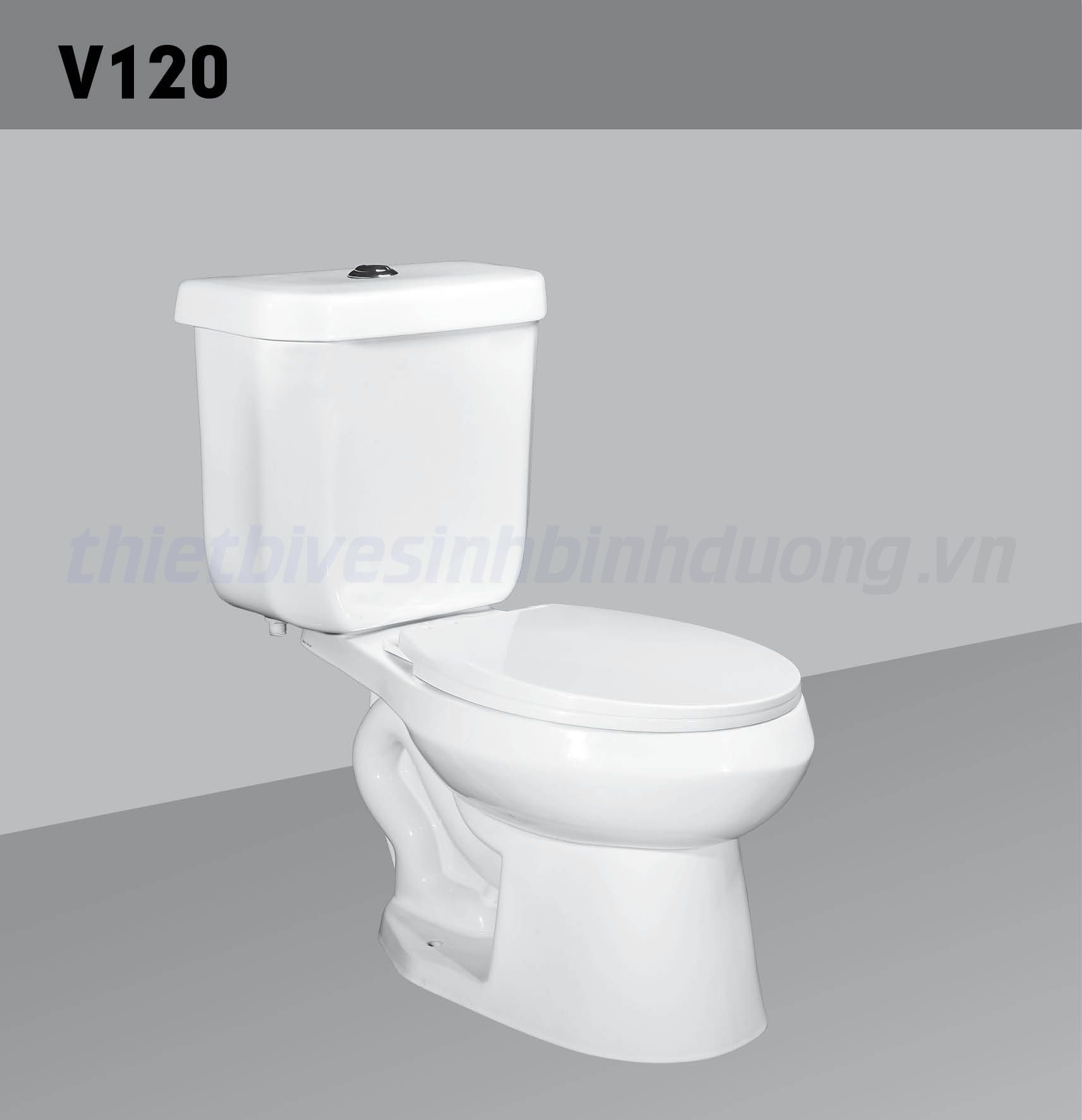 Bồn cầu sứ Hảo Cảnh HC V120